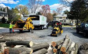 How Our Tree Care Process Works  in Hanover, PA